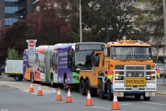 203-037-Bowes-Street-with-Bus-508-