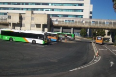 Belconnen-Interchange-Layover-6