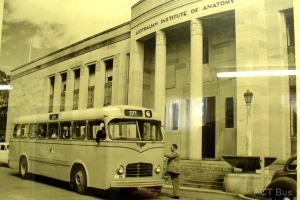 BUS 006-1
