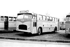 Bus014-Kingston-1