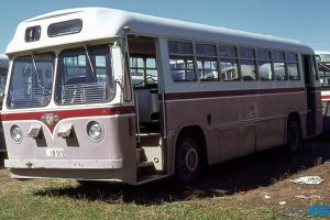 BUS 015-1