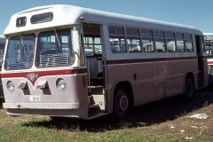 Bus015