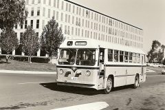 Bus015-RussellDr-1