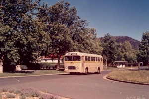 BUS 031-1