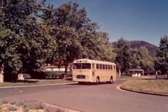 Bus-031-Ainslie