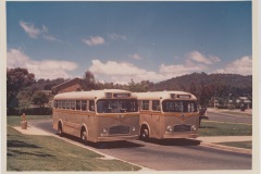 Buses-031-and-030-Hackett-Terminus-