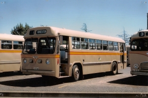 BUS 060-1