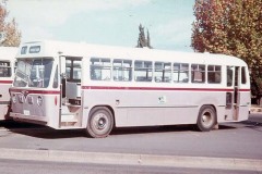 Bus063-Kingston