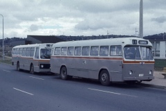 Bus070-MelroseDr-1
