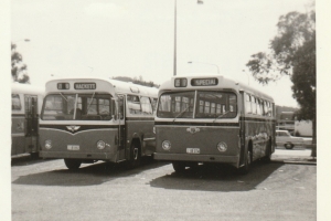 BUS 074-1