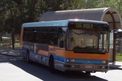 Bus-100-Kippax
