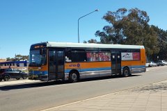 Bus100-Lathlain-2