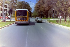 Bus-102-Brisbane-Avenue