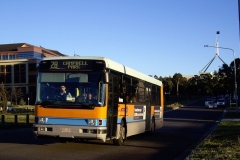 Bus-103-Sydney-Avenue
