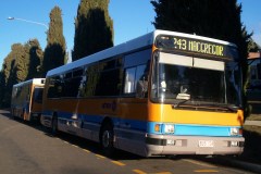 Bus-104-Sydney-Avenue