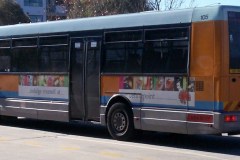 Bus-105-Tuggeranong-Interchange