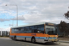 Bus-111-Anthony-Rolfe-Avenue