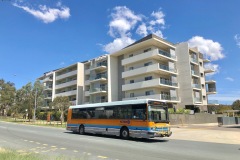 Bus111-Watkin-Street