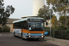 Bus-111-Black-Mountain-Drive