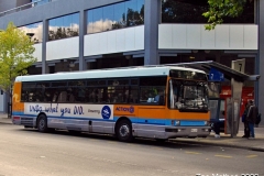 Bus-111-City-Interchange
