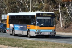 Bus-111-Hindmarsh-Drive