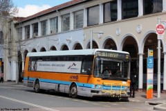 Bus-113-City-Interchange