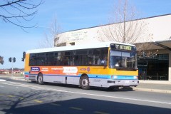 Bus-114-Gozzard-Street