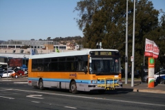 Bus-115-Cohen-St