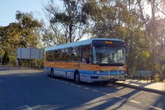Bus115-FairfaxSt-1