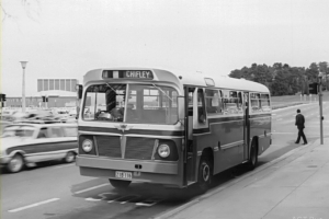 BUS 116-1
