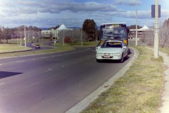 Bus-116-Canberra-Avenue-2