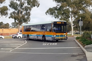 BUS 117-2