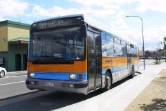 Bus-117-Sidney-Nolan-Street