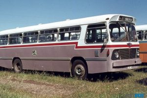 BUS 119-1