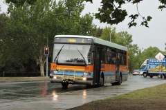Bus-123-Dickson-Terminus