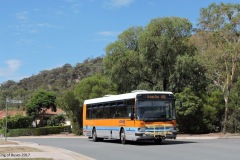 Bus-123-Templestowe-Avenue