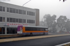Bus-127-Cameron-Avenue