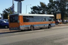 Bus131-CohenSt-1