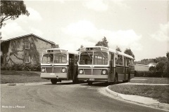 Buses-132-and-147