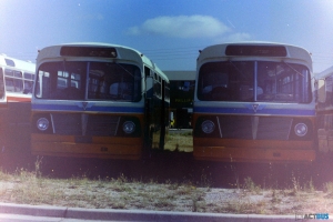 BUS 134-1