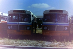 Bus 134 and unknown sister unit - March 1978 - Bellona Crt - Barry Snelson Collection