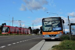 Bus 135 - Flemington Road (with LRV010)