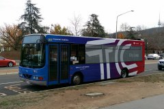 Bus135-UniversityAv-1