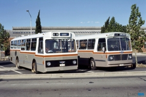 BUS 145-1
