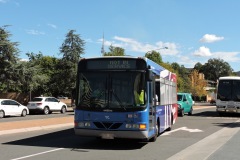 Bus-145-University-Avenue