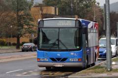 Bus151-UniversityAv-1