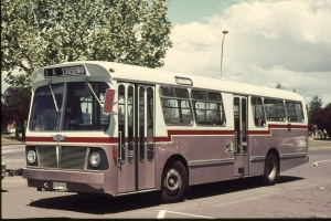 BUS 152-1