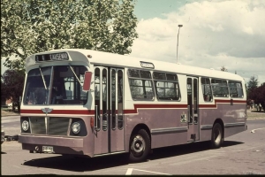 BUS 152