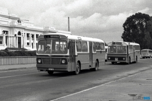 BUS 153-1