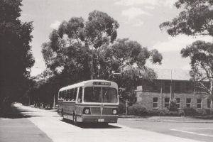 BUS 154-1